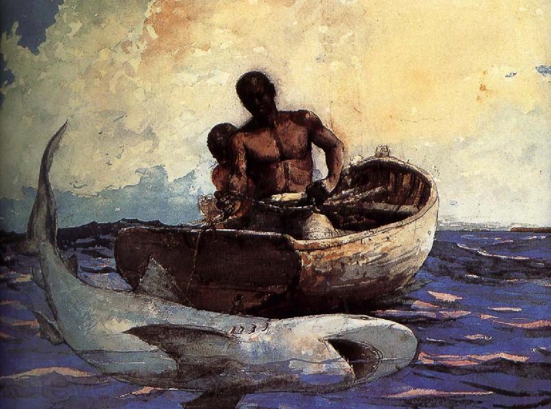 Winslow Homer Shark Norge oil painting art